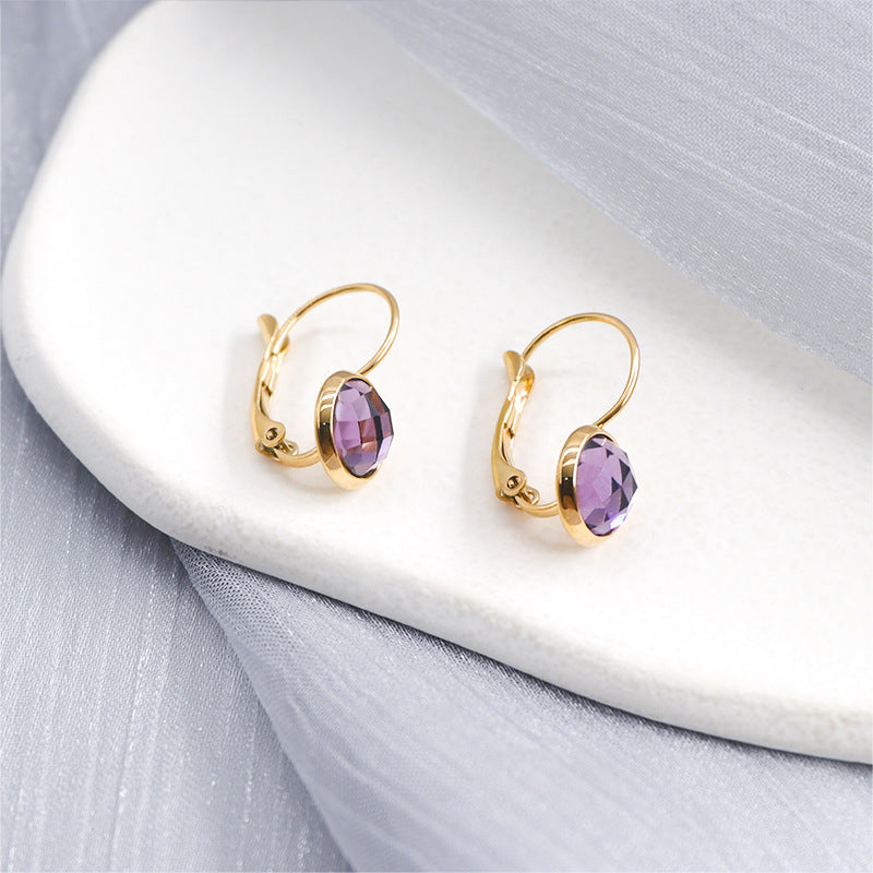 Jewelry Austrian Glass Crystal Earrings Women Ear Hook