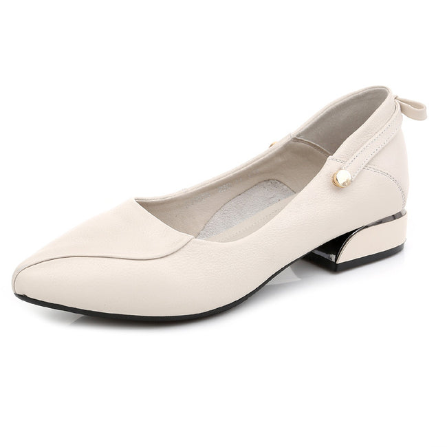 Low Top Pumps Pointed Toe Heels Main Image