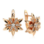 Fashionable Jewelry Low Luxury Delicate Earrings Ear Clip All-matching Women