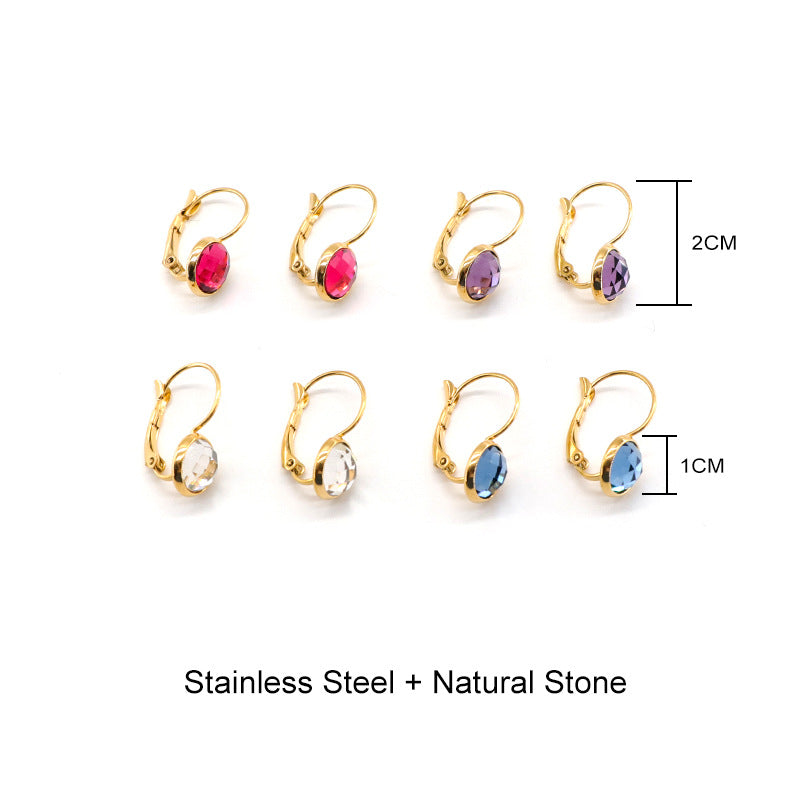 Jewelry Austrian Glass Crystal Earrings Women Ear Hook
