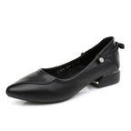 Low Top Pumps Pointed Toe Heels