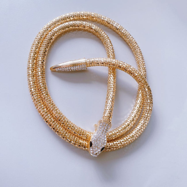 Exaggerated Snake Necklace Micro-inlaid Long Necklace Main Image