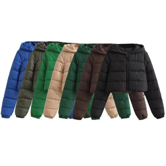 Womens Short Multi-Colored Cotton Puffer Jacket With Hood