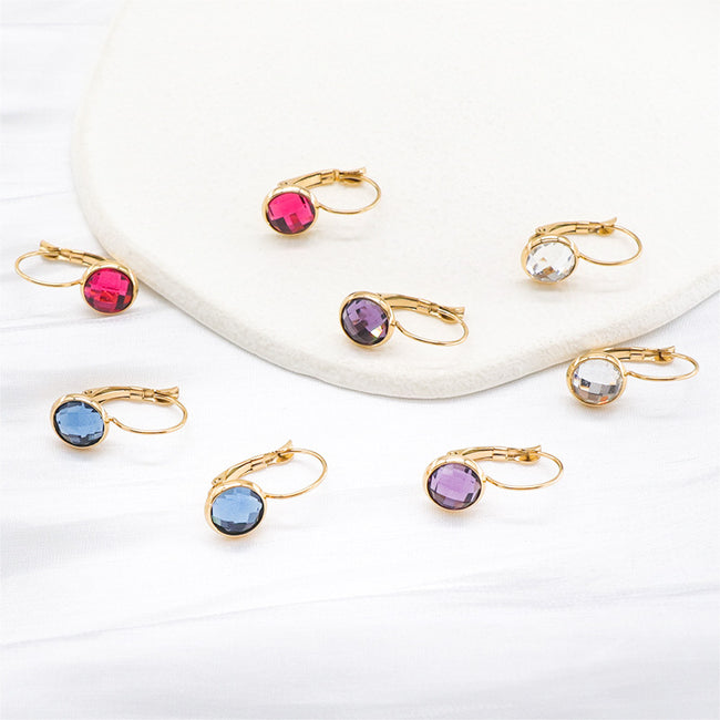 Jewelry Austrian Glass Crystal Earrings Women Ear Hook Main Image