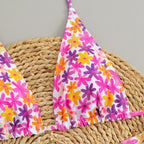 European And American Two-piece Bikini