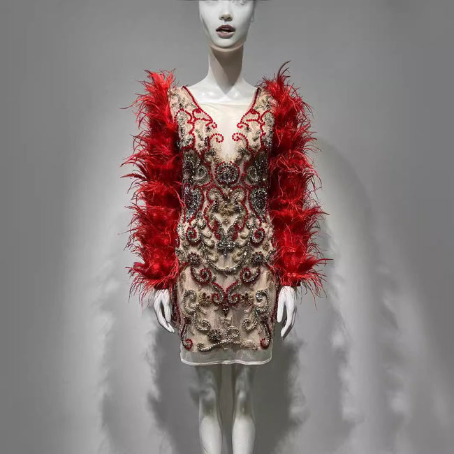 Women Red Feather Long Sleeve Mesh Rhinestone Dress Main Image