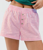 Striped Plaid Leisure Commute Shorts For Women